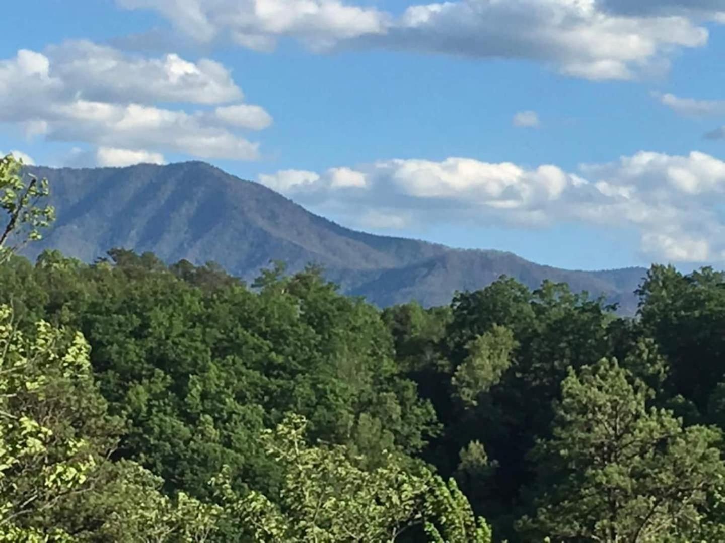 Romantic Mtn Cabin Hot Tub & Jacuzzi Views เซอเวียร์วีล ภายนอก รูปภาพ