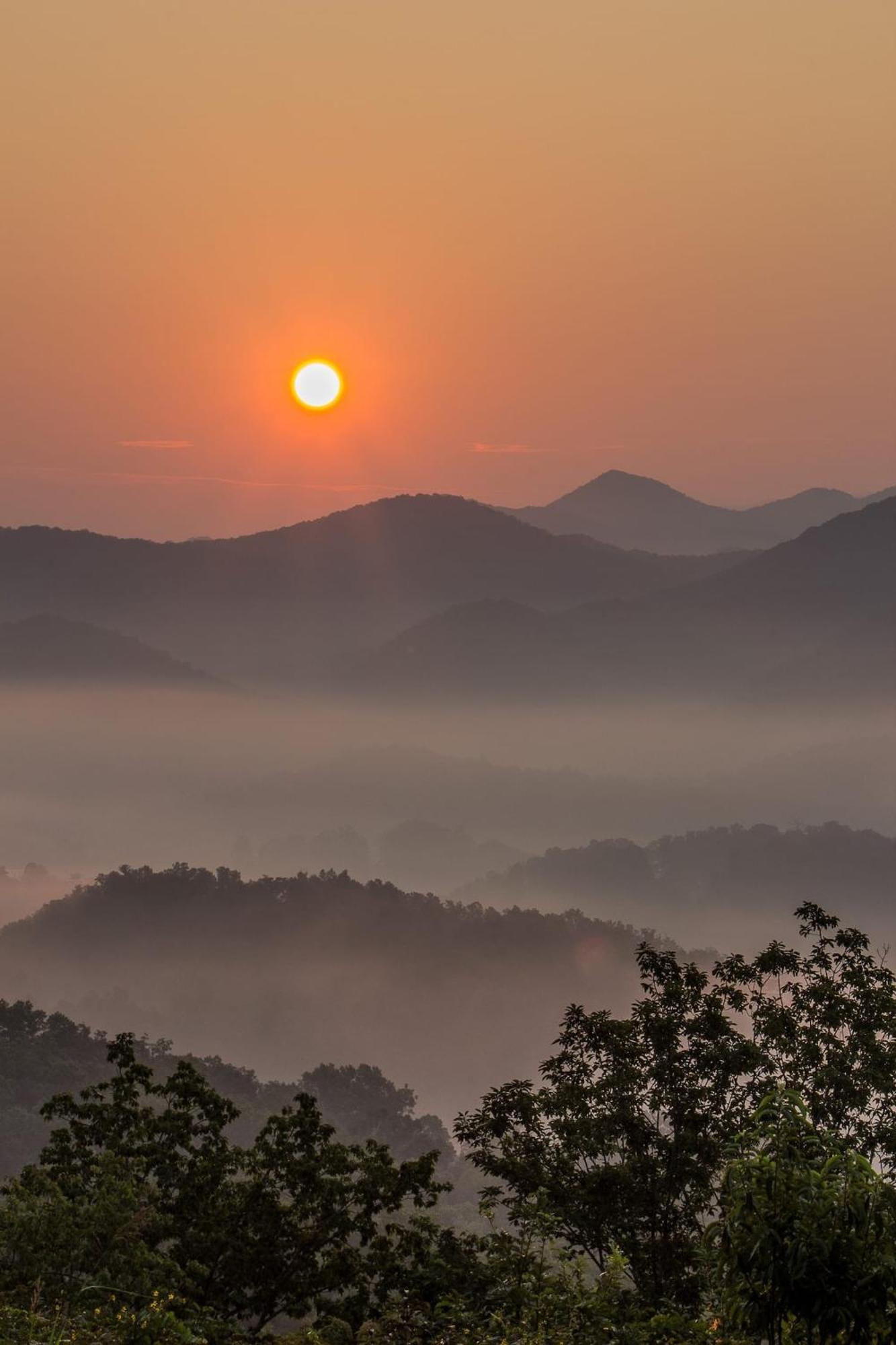 Romantic Mtn Cabin Hot Tub & Jacuzzi Views เซอเวียร์วีล ภายนอก รูปภาพ