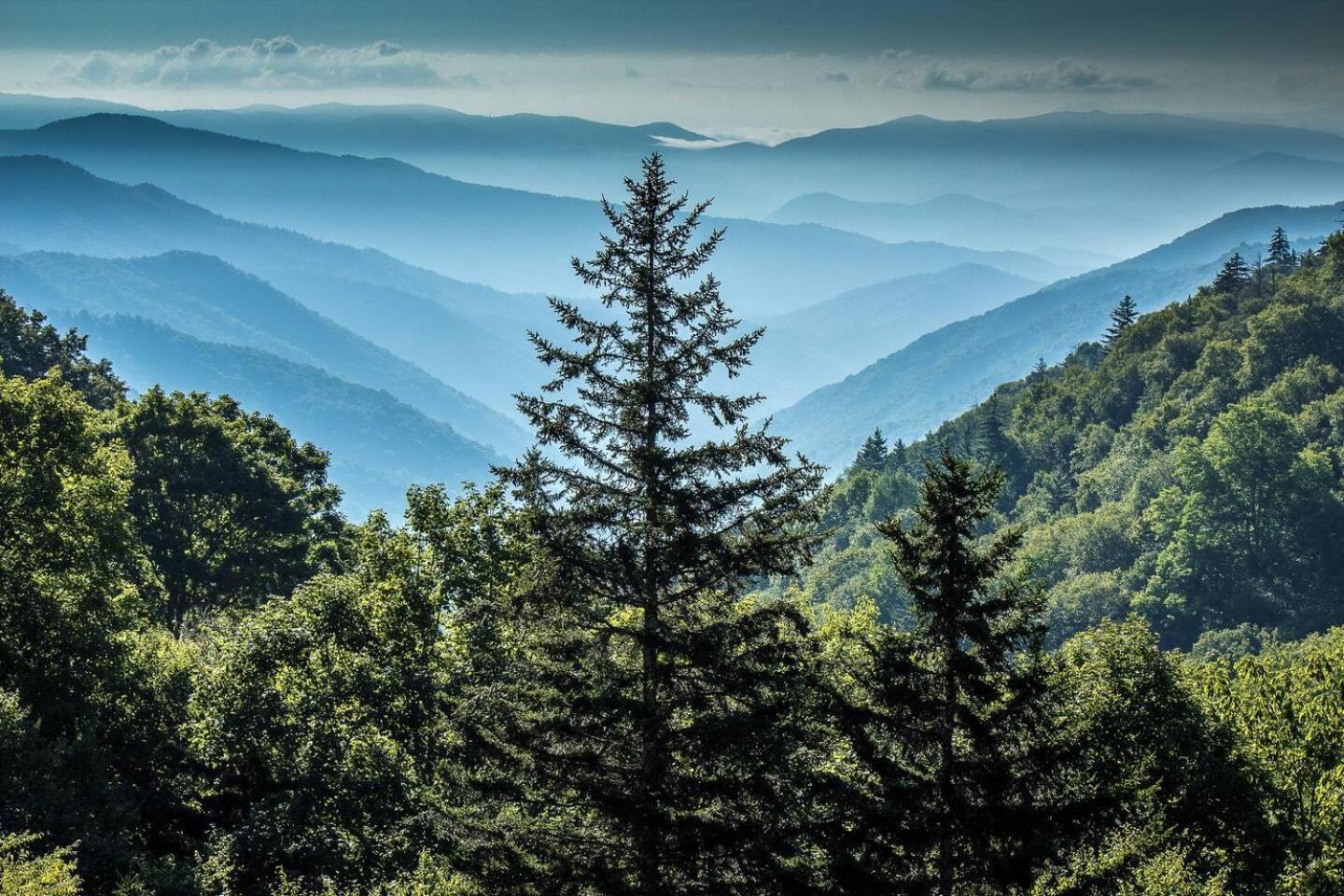 Romantic Mtn Cabin Hot Tub & Jacuzzi Views เซอเวียร์วีล ภายนอก รูปภาพ